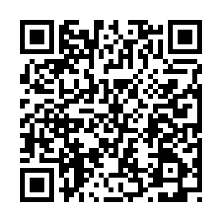 QR code for 425287P