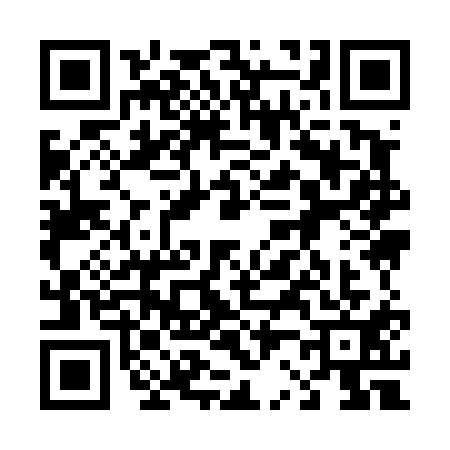 QR code for 4294111