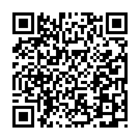 QR code for 4295093
