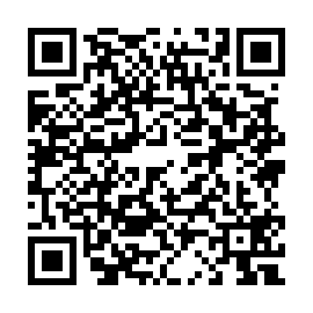 QR code for 4295198