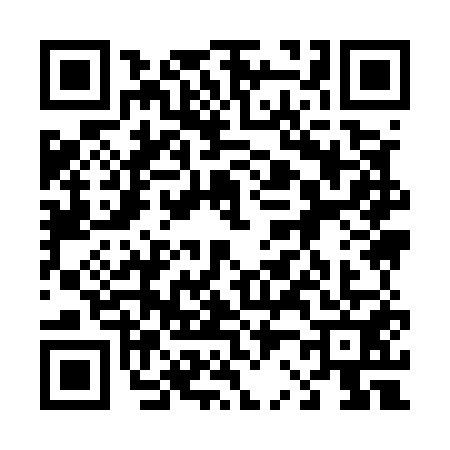 QR code for 4295519