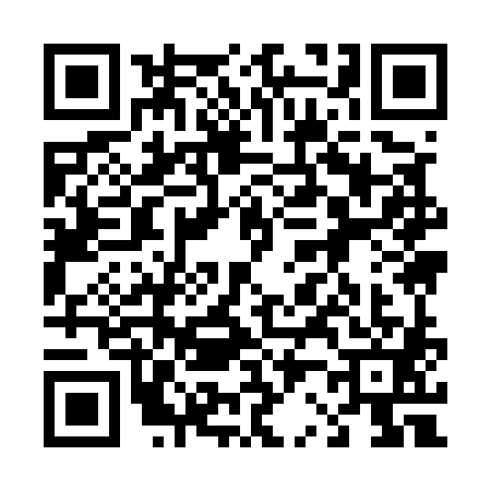 QR code for 4295818