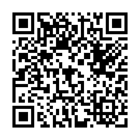 QR code for 430382G