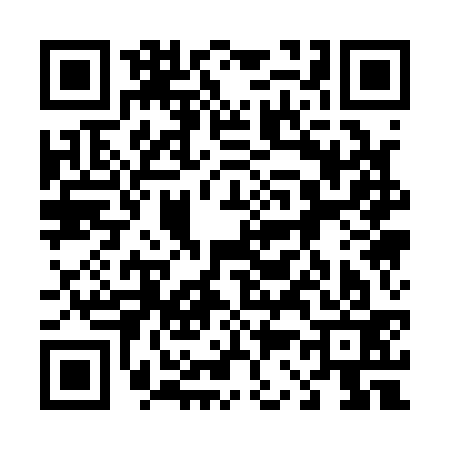 QR code for 431133N