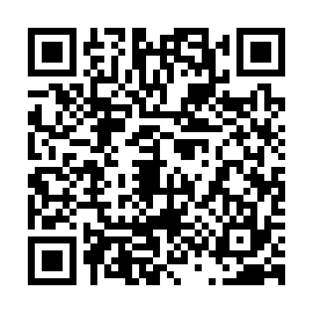 QR code for 4313379