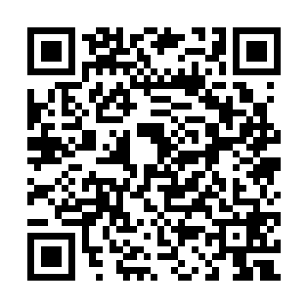 QR code for 4313683