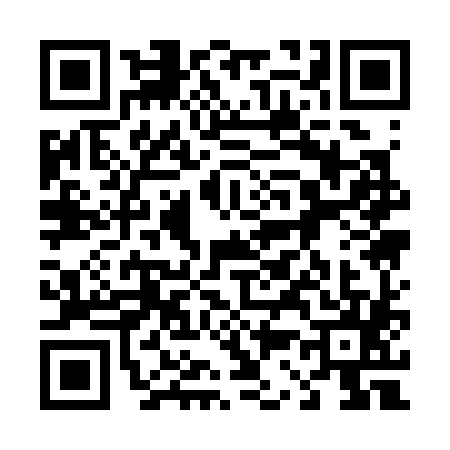 QR code for 4313858