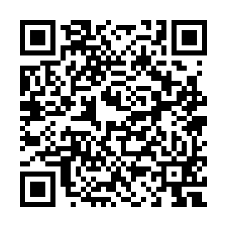QR code for 431393P