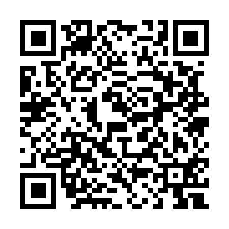 QR code for 431510C