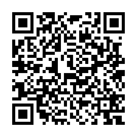 QR code for 4330295