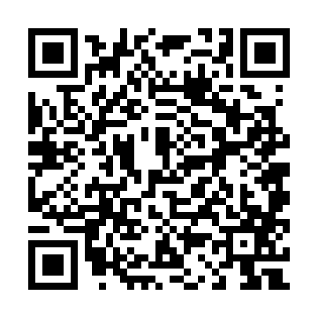 QR code for 4363878
