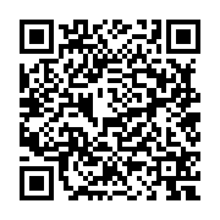 QR code for 4378246