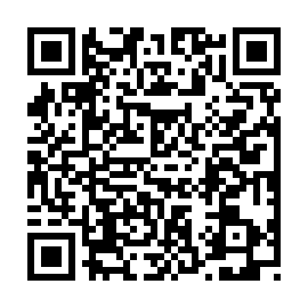 QR code for 4379738