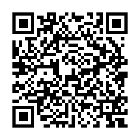 QR code for 4382132