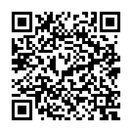 QR code for 4393228