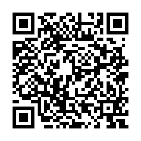 QR code for 441393H