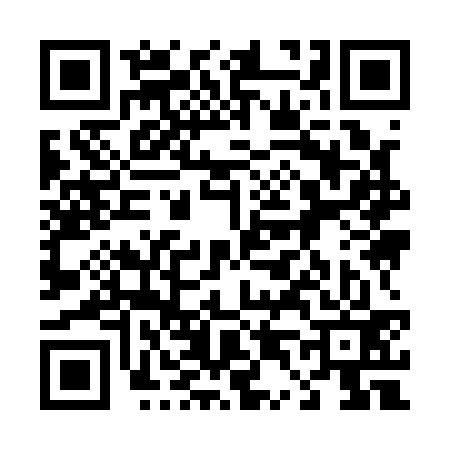 QR code for 449133S