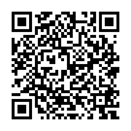 QR code for 4493487