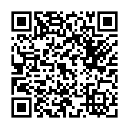 QR code for 4501507