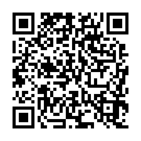 QR code for 450293A