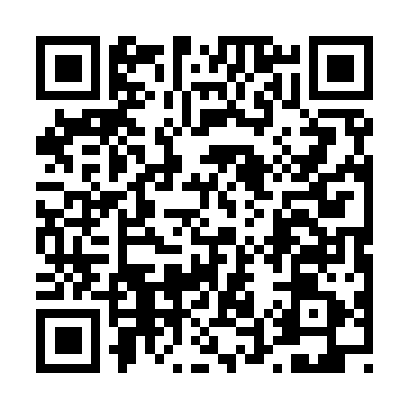 QR code for 451911L