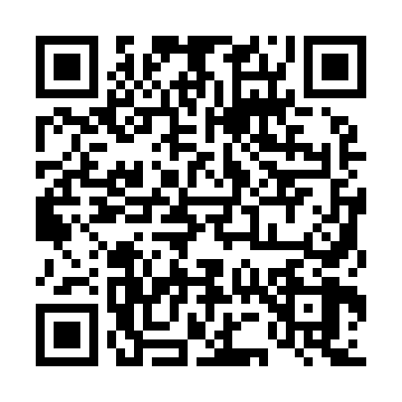QR code for 4519686