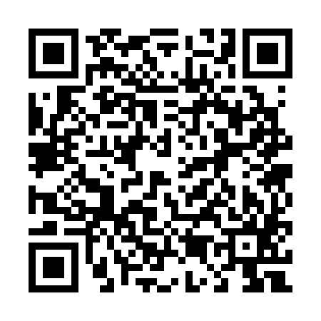 QR code for 453385N