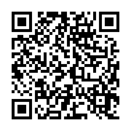 QR code for 453806T