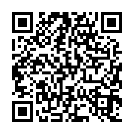 QR code for 453811P