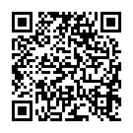 QR code for 4539593