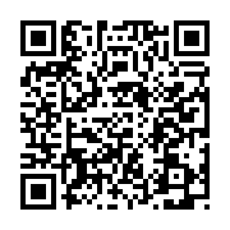 QR code for 4540311