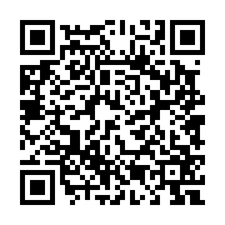 QR code for 4540667