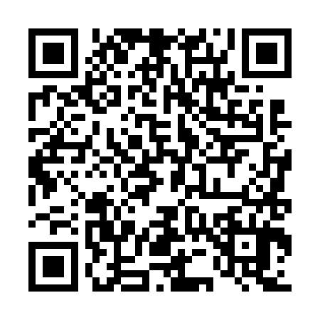 QR code for 4546841