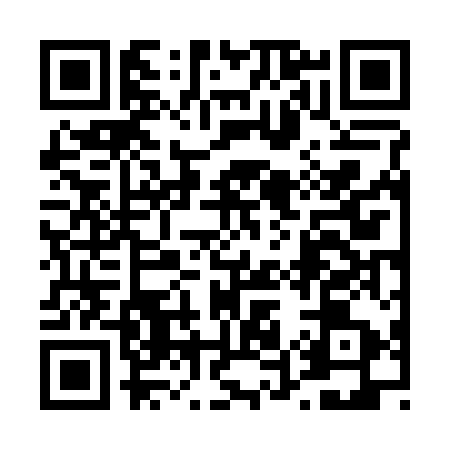 QR code for 456253P