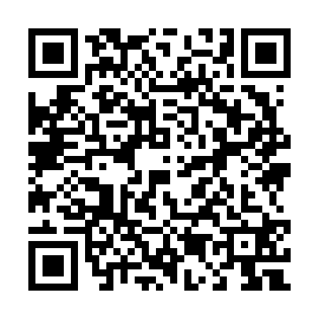QR code for 4596202