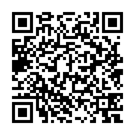 QR code for 4601382