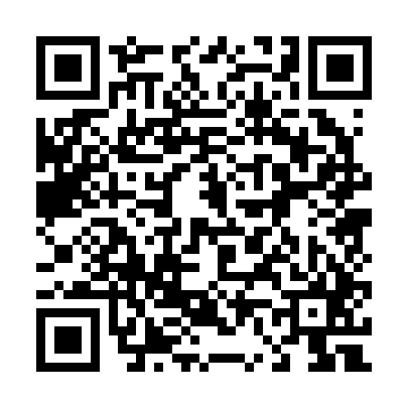 QR code for 460245S