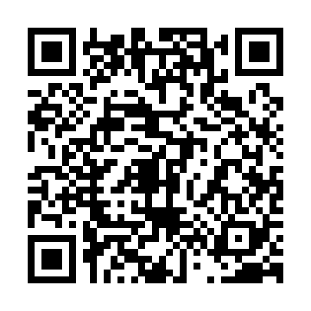 QR code for 461128P