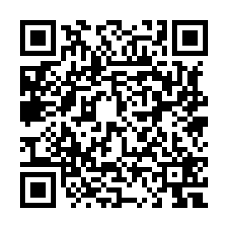 QR code for 4618295