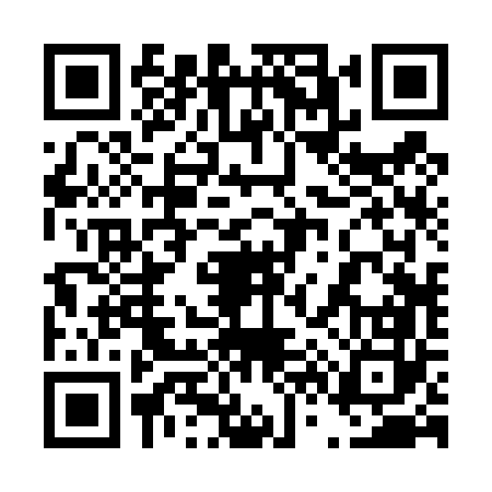 QR code for 462462I