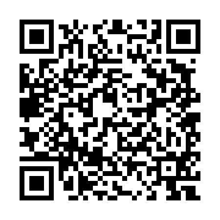 QR code for 462494S