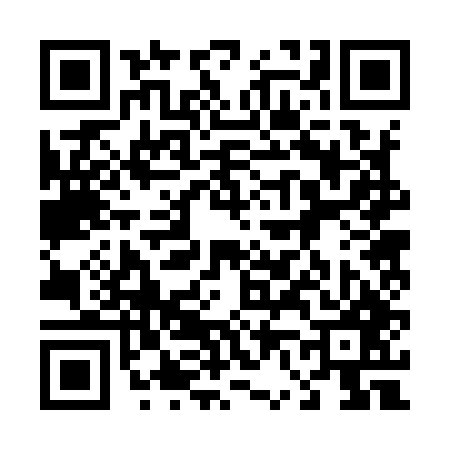 QR code for 462947Y