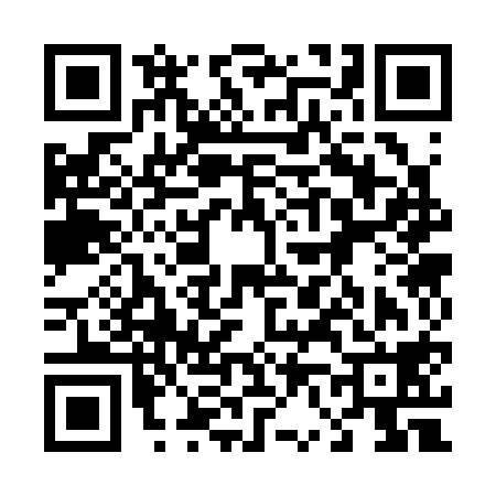QR code for 463318B