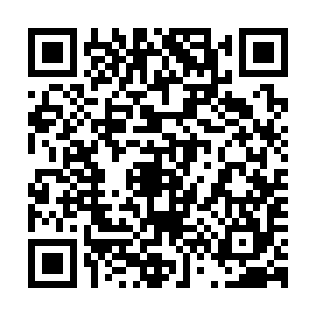 QR code for 463394F