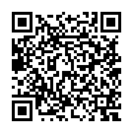 QR code for 463800H