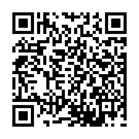 QR code for 463806N