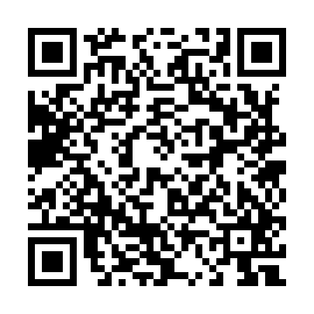 QR code for 463945K