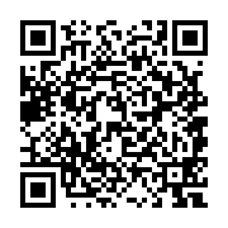 QR code for 466198Z
