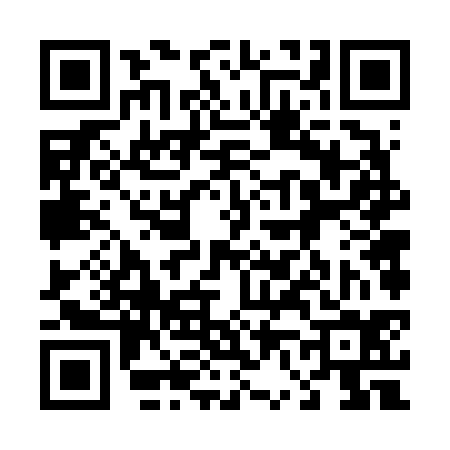 QR code for 466634X