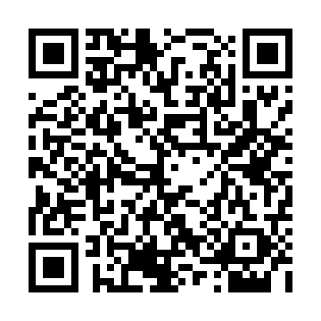QR code for 4704295